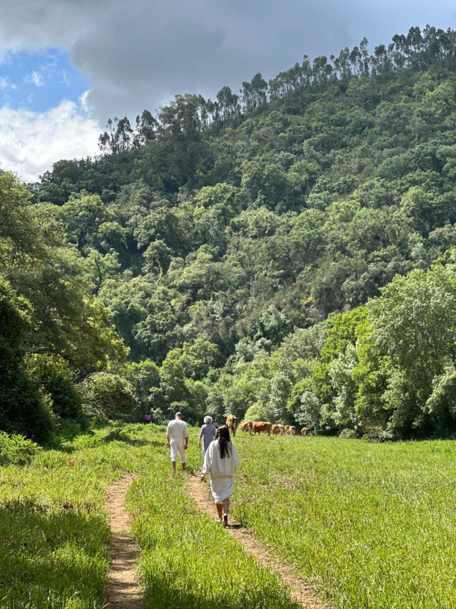 Herdade Da Maceira São Luís Exterior foto